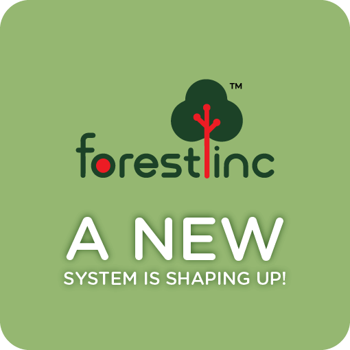Visit Us
